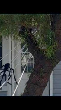 Mesa neighbors are disagreeing on Halloween decorations