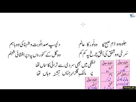 Urdu Reading Comprehension (Poem) آمدِ صبح (مرثیہ سے ماخوذ نظم)-سوالات | Sabaq.pk