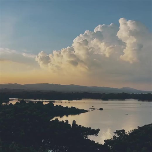 🧡🌊🍃 #fallen_flower