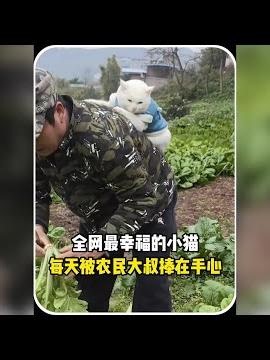 The Happiest Kitten on the Internet! A Heartwarming Story of a Man and His Beloved Cat #KittenHea...