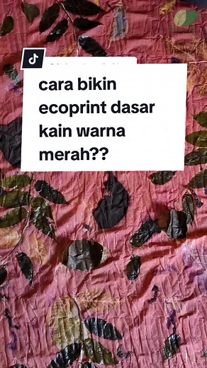 Cara Bikin Ecoprint Dasar Kain Warna Merah