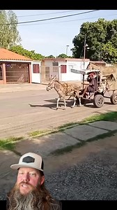 944K views · 13K reactions | Spare Donkey! #crazystory #crazy #amazing #hilarious | Apex Predator Outfitters | Facebook