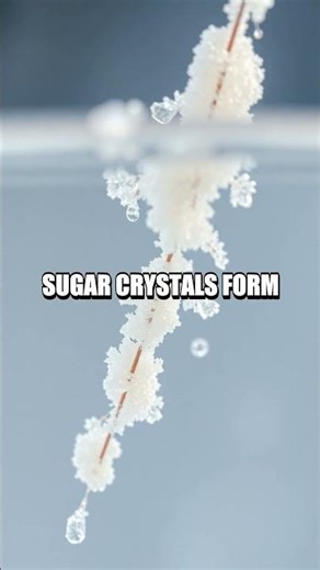 A Window into Small Worlds Five Home Science Demos