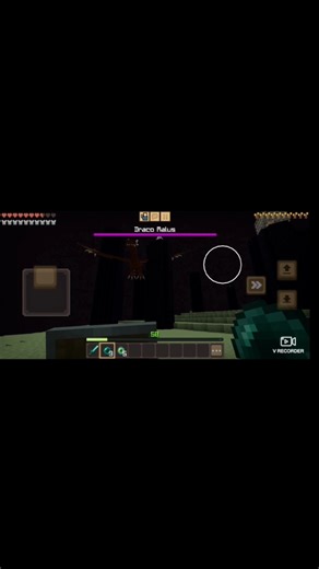 MINECRAFT DIFFERENT DRAGON