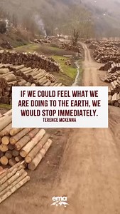 The pain we inflict on the Earth and its #biodiversity will come back to us if we don’t change course. Our purpose should be to steward this precious planet, not exploit and plunder it. #earth#environment#eco#ecofriendlyliving#ecofriendlyhome#sustainablymade#wildlife#animalrights#greenliving | Environmental Media Association