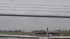 5.8K views · 36 reactions | Calling it a "rapidly evolving situation," Public health officials held a briefing today on the new Coronavirus outbreak. Public Health says it's still considered low-risk for Guam, so airport arrival screening is not yet being implemented, but if a passenger exhibits symptoms of infection, they will be ready. | KUAM News | Facebook