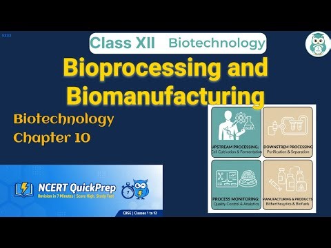 Bioprocessing and Biomanufacturing | Class 12 Biotechnology Chapter 10 | CBSE NCERT | Quick Revision