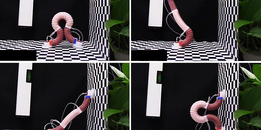 This Robotic Inchworm Just Made It to Higher Ground