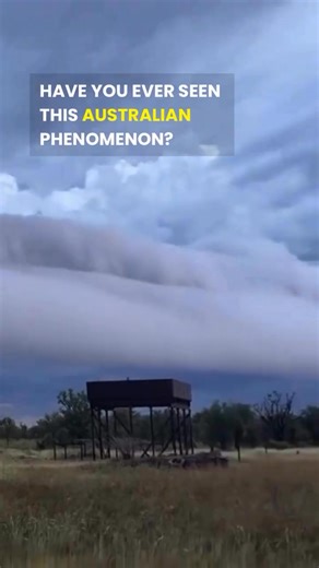 Have you ever seen anything like it? ⁠ ⁠ Morning Glory Cloud is a rare natural phenomenon that appears over the Gulf of Carpentaria in far north Queensland. These enormous, tube-shaped clouds can stretch for more than 1,000 kilometres and roll across the sky at dawn, moving like waves above the horizon.⁠ ⁠ 📷 @caravanningqueensland | Creek to Coast