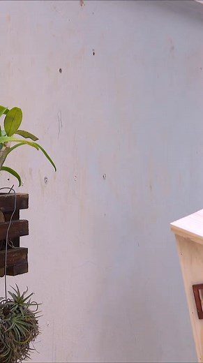 86K views · 492 reactions | CREATE Your Own SIMPLE Wooden Bird Feeder From SOLID Wood | Woodworking Tools TV | Facebook