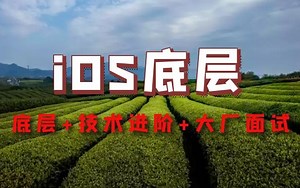 iOS开发进阶视频讲解：iOS开发面试 iOS底层 iOS音视频技术