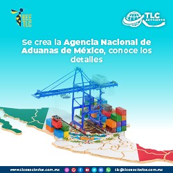Se crea la Agencia Nacional de Aduanas de México (ANAM), conoce los detalles aquí. – TLC Asociados