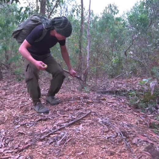 build a safe survival shelter part #camping #outdoors #fpy #shelter #2026