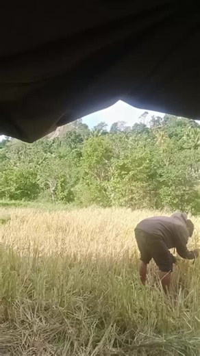 anho on TikTok