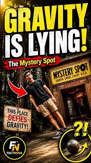 Gravity Doesn't Work Here... 😱 The Mystery Spot Explained!