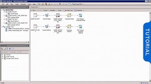 Organize a Project and Use Multiple Process Flows - SAS Video Portal