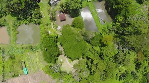 Drone view of tropical greenland trees and water body in Malaysia