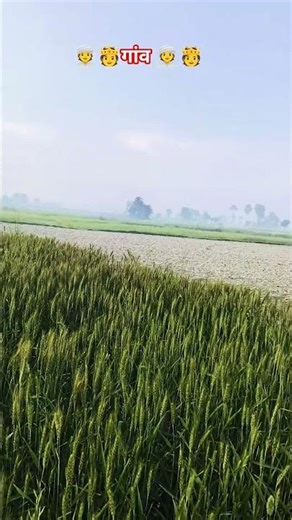 Sham bhi khoob 👳🫅👳Hai pass mahbub hai 😘🥹🥹#song #gaonshorts #villageshorts #shortvideo #status#reels