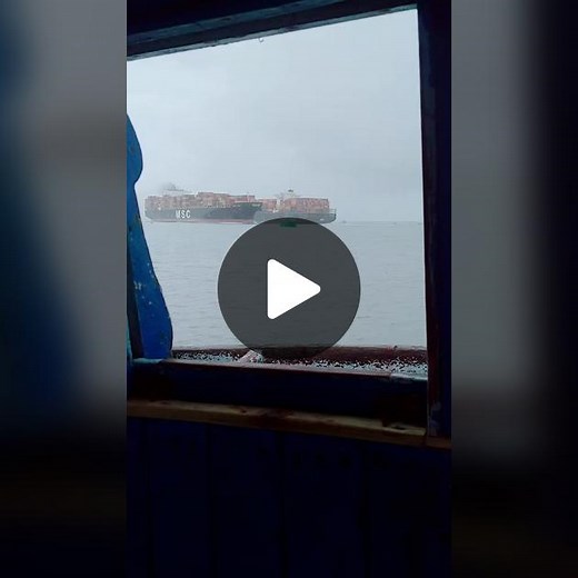 Cargo Ship MSC in Action with Colorful Containers