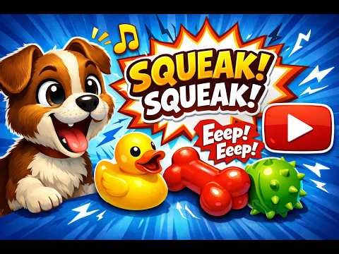 Funny Dog Squeaky Toy Sound 🐶🔊 | Watch Your Dog’s Reaction!