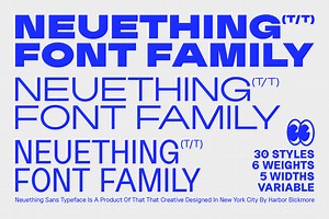 Neuething Sans Family: 30 Fonts, a Sans Serif Font by That That Creative