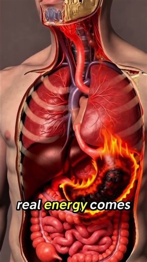 Inside the Human Body During Fire Burns – Painful Truth Explained