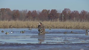 161K views · 8.5K reactions | Cold temps and bright blue skies….just what the doctor ordered! #Duck23 www.habitatflats.com | Habitat Flats | Facebook
