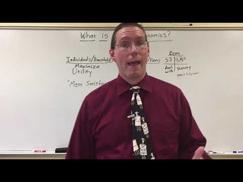 What is Microeconomics - Professor Ryan