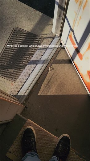 Nature King (@thenatureking100)’s videos with original sound - tanwine