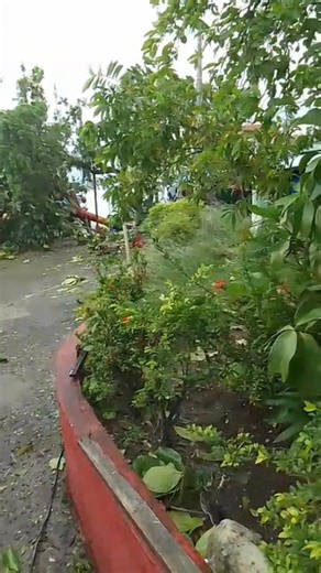 20 reactions · 9 comments | Hurricane .Melissa damage Ocho Rios Jamaica street market #HurricaneMelissa | Frances Poole | Facebook