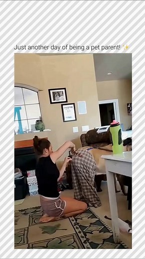 1.4M views · 40K reactions | FOLLOW → @snackbreakmeme ← Just another...