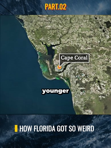 Uncovering Florida's Uniqueness: How Florida Got So Weird - Pt. 2