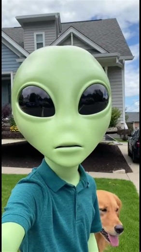 They couldn't beleive me, so I did this! #alien #alien #vlog #comedy