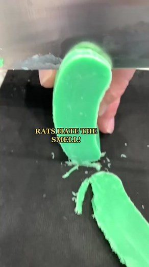 Irish Spring Soap and Rats: Effective Pest Control Methods
