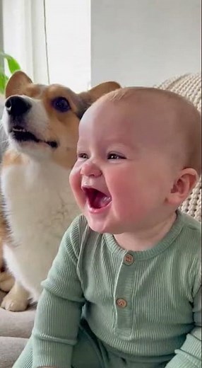 🥇 Babies & Dogs Being Adorably Funny Together! 😂🐶👶