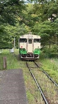 #小湊鐵道 小さな旅 #上総鶴舞 → #上総大久保駅 #キハ40
