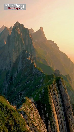 1.4K views | Chasing mountain peaks and peaceful lakes—Switzerland awaits.  Book your ticket now and make your escape to paradise #exploreswitzerland #switzerland_vacations #TravelGoals | White Tiger Holidays | Facebook