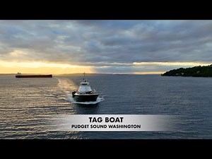 Boat Journey Back to Seattle – Docking at Pier 91 with Stunning Views of the Skyline