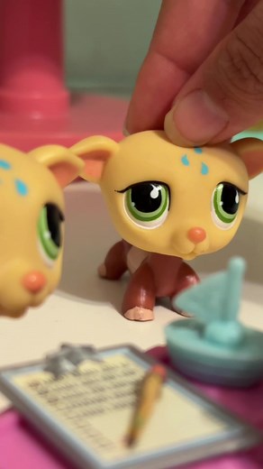 Dealing with Mixed Emotions: Letting Go of a Loved One