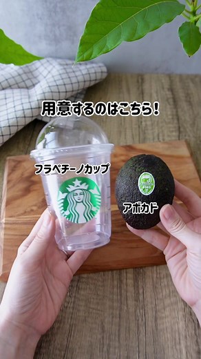 アボカドの種を育てる方法｜スタバカップで簡単な水耕栽培