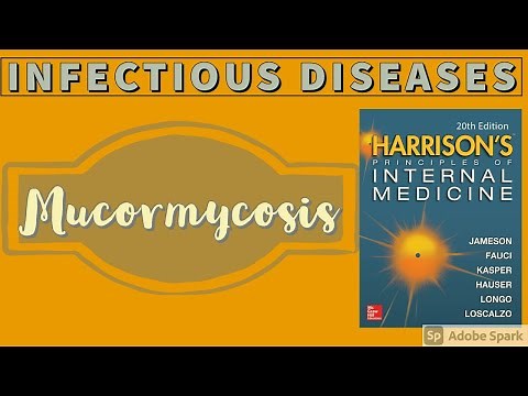 MUCORMYCOSIS | Black Fungus | Causes | Pathogenesis | Treatment | Harrison
