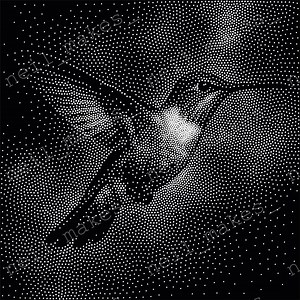 Hummingbird Art Vector Image CNC Router Project / Laser Engraving File Download (svg, Dxf & Png Files) - Etsy Canada