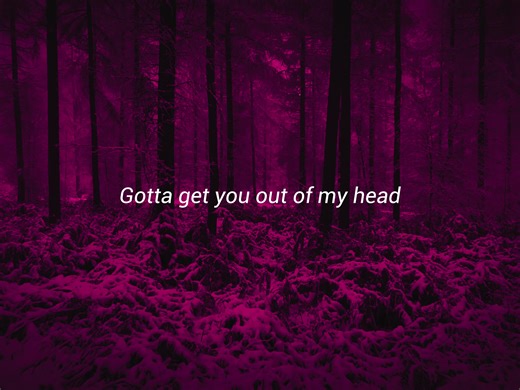 Shawn Mendes Songs Lyrics Video
