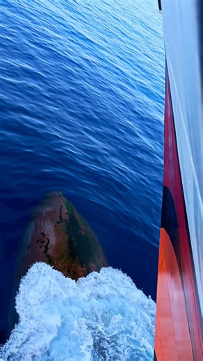 🚢 The Hidden Hero Beneath the Waves 🌊 Ever wondered what that massive bulb-shaped structure beneath a ship's waterline is? Meet the bulbous bow - one of the most ingenious inventions in maritime engineering! This underwater giant might look strange, but it's a game-changer. By creating its own wave system, the bulbous bow actually cancels out the waves created by the ship's regular bow, reducing drag and increasing fuel efficiency by up to 15%. Pretty smart, right? 💡 Watching it cut through t