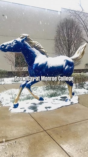 Monroe University on Reels