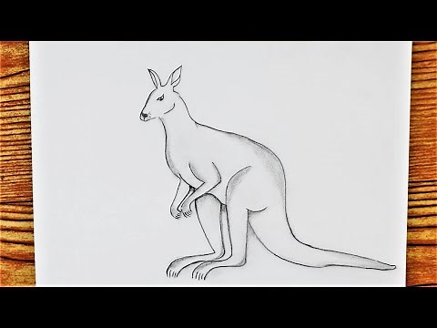 How to Draw a Kangaroo || Easy Kangaroo drawing for beginner || Pencil drawing Kangaroo step by step