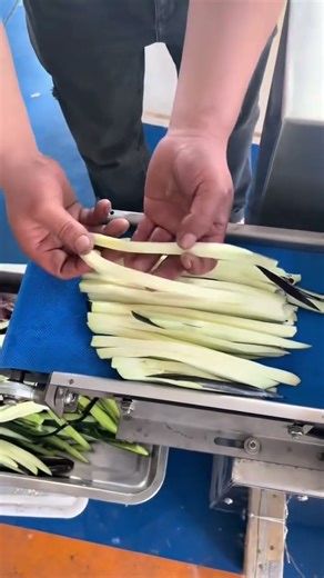 Cut Eggplants, Cucumbers & More – High-Speed Strip Cutter for Vegetable Processing Lines