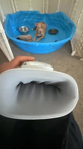 Indulge in sophisticated hand care designed to reduce pain and stress. Elevate your well-being with premium, personalized comfort at your fingertips. | Elixr