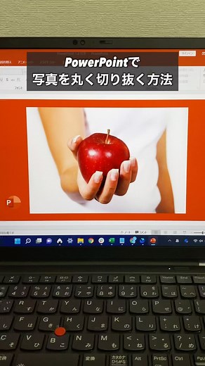 PowerPoint写真を丸く切り抜く方法 トリミングで縦横比を1:1に調整した後、トリミングから図形に合わせてトリミングで楕円を選択。 これで丸く切り抜けます！ やってみてね！ ▼他の投稿はこちら @naotaro_lifehack #パソコン #パワーポイント #powerpoint | なおたろ【パソコン＆スマホ便利術】