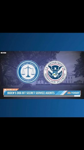 3.5K views · 93 reactions | BREAKING: Secret Service Records Reveal 10 Attacks by Biden German Shepherd ‘Commander’ ! READ: https://judicialwatch.org/biden-german-shepherd/ #judicialwatch #joebiden #biden | Judicial Watch | Facebook